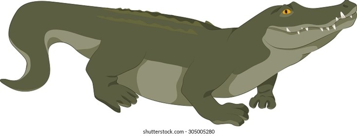 Crocodile Realistic Images, Stock Photos & Vectors | Shutterstock