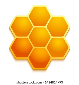 Vector illustration of realistic honey comb on white background