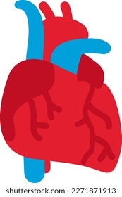 Vector illustration of a realistic human heart.
