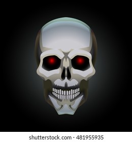 vector illustration with realistic human skull