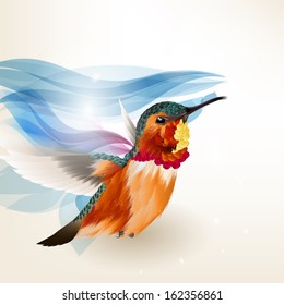 Vector illustration with realistic humming bird for design
