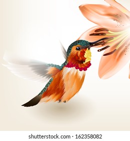 Vector illustration with realistic humming bird for design