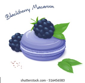 vector illustration of realistic isolated blackberry macaroon with fresh ripe blackberry berries and leaves.