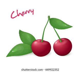 vector illustration of realistic isolated ripe cherry with leaves.