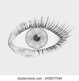 Vector illustration of a realistic left eye, with lashes, made and shaded based on lines, isolated on a light gray background