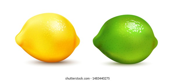 Vector illustration of realistic lemon and lime.