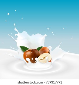 Vector illustration of realistic Milk splash with hazelnut