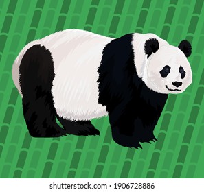 
ilustración vectorial de panda realista sobre fondo de bambú verde