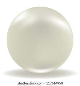 Vector illustration of a realistic pearl on white background