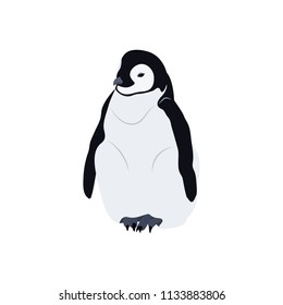 Vector illustration of a realistic penguin on white isolated background. Template for postcard, poster, logo, web design.