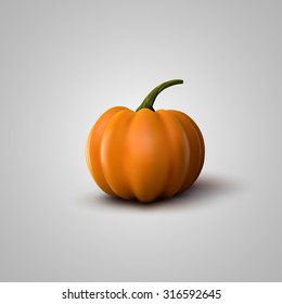 Vector Illustration Of Realistic Pumpkin