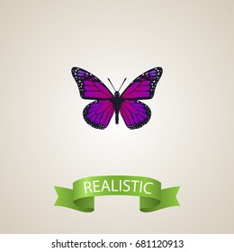 Vector Illustration Of Realistic Purple Monarch  Isolated On Clean Background. 
