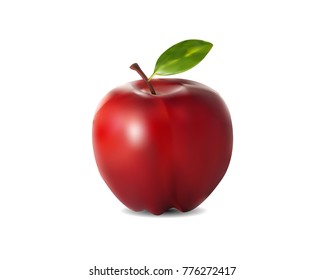 Vector Illustration of A realistic red apple