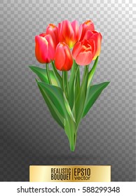 Vector illustration of realistic red tulips bouquet. A bouquet of flowers, lit by the sun. Red tulip on transparent background.