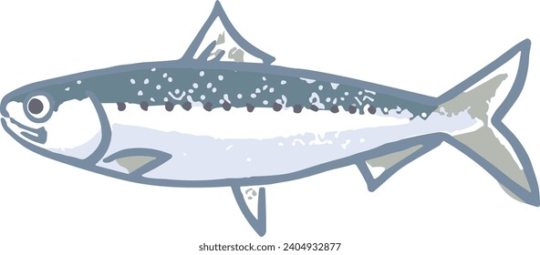 Vector illustration of a realistic sardine full body lying down.