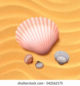 Vector illustration of realistic seashells in the sand