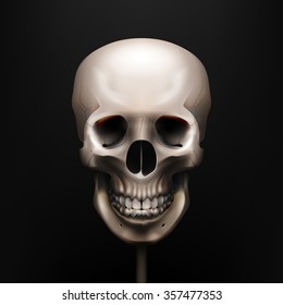 Vector illustration realistic skull. Human anatomy. EPS 10