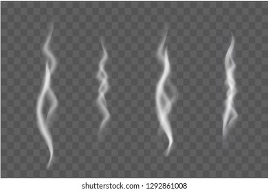 vector illustration of realistic smoke isolated on transparent background