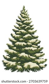 Vector illustration of a realistic spruce tree. The tree is a symbol of the New Year holiday.	