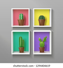 Dibujo vectorial de estantes cuadrados realistas y de color ractanglave, con diferentes tipos de cactus en maceta de flores aislados en fondo de pared