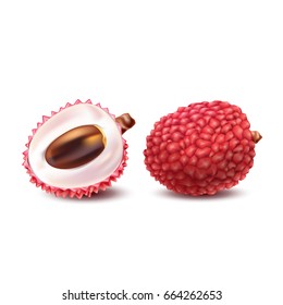 Vector illustration of a realistic style of litchy whole fruit and a cut litchi isolated on white. Print, template, design element for packaging with exotic fruit
