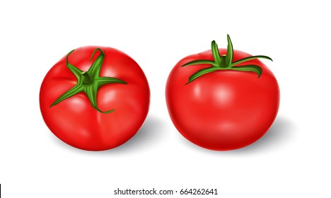 Vector illustration in realistic style, set of red fresh tomatoes with green stems isolated on white, top view, side view. Print, template, design element for packaging