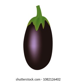Vector illustration of a realistic style. Vegetables. Fresh eggplant with green stems isolated on white. Print, template, design element for packaging.