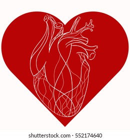 Vector illustration of realistic stylized heart in red heart. Vector element for your creativity