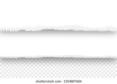 Vector illustration of realistic torn ppaper stripes