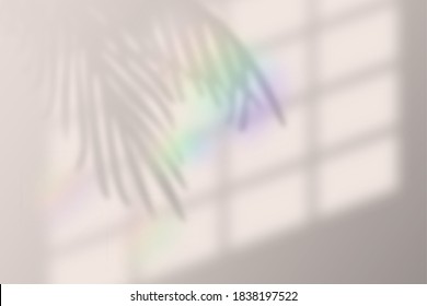 Vector Illustration Of Realistic Tropical Shadow Overlay Effect. With Rainbow Lens Flare. Blurred Transparent Soft Light Shadow From Window And Palm Leaves