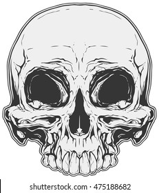 A vector illustration of Realistic white and grey human skull tattoo