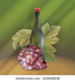 Vector illustration of realistic wine bottle and grape branch with green leaf