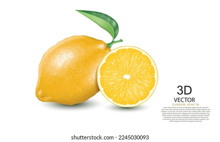 vector illustration realistic yellow lemon and half of lemon on the white background isolated.3D illustration template design.