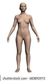 Vector illustration of a realistically nude 3d girl. EPS 8.