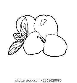 Vector illustration of reaspberry lineart isolated for coloring on white background