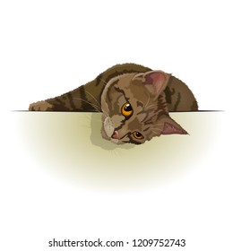 Vector illustration of a reclining tabby cat. Ad space. EPS 10