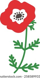 Vector illustration of red anemone flower