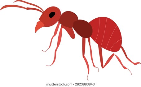 vector illustration of a red ant