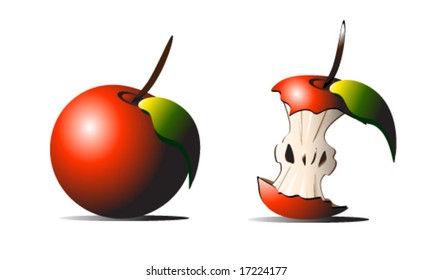 vector illustration of red apple