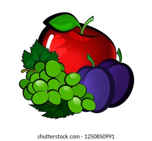 Vector illustration with red apple, bunch of grapes and two plums on a white background. Fruit mix.