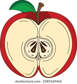"Vector Illustration of a Red Apple Cut in Half with Seeds and Leaf - Detailed and Colorful Fruit Design