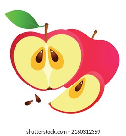 vector illustration of red apple isolated on white