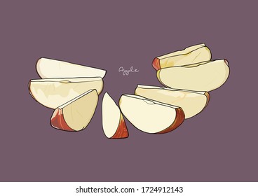 Vector Illustration of Red Apple in pieces / slices