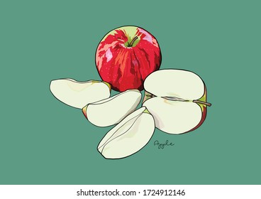 Vector Illustration of Red Apple in pieces / slices
