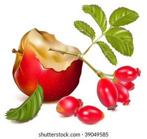 Vector illustration.  Red apple and rose hips.