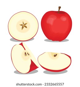 Vector illustration of red apple set.Cartoon isolated whole delicious juicy fruit and cut into portion slices, half and quarter pieces, with organic fruity apples, and green leaves