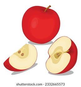 Vector illustration of red apple set.Cartoon isolated whole delicious juicy fruit and cut into portion slices, half and quarter pieces, with organic fruity apples, and green leaves