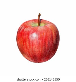 Vector illustration. Red apple with shadow. Isolated fruit drawn with colored pencils. Food for a healthy diet. Fresh delicious apple for interior decoration, menus, advertising. Apple juice.