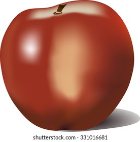 vector illustration of a red Apple with shadow