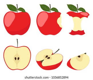 Vector illustration of red apple. Sliced apple isolated on white background